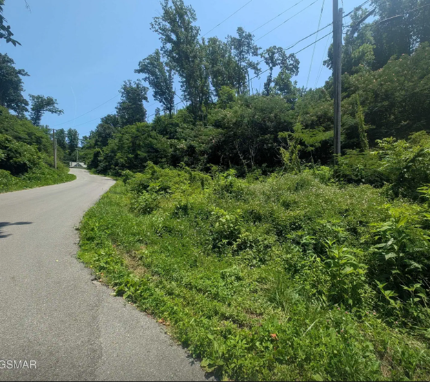 Mountain View Lot in Henderson County