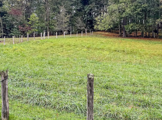 Buildable Lot in Marion County