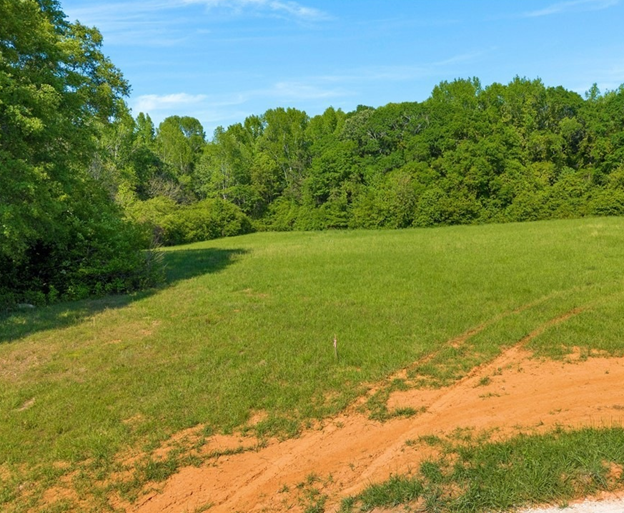 Wooded Homesite in Oconee County