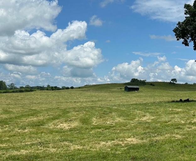 Rolling Pasture in Rabun County